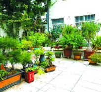 常運(yùn)海：筆墨生香花草間