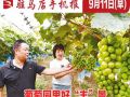 9月11日早报