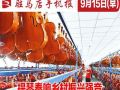 9月15日早报