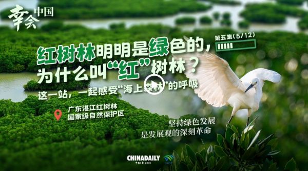 360截图20250916091727099