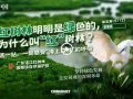 幸会中国 | 中国海上绿色“长城”，见证绿色发展的深刻革命