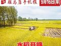 9月16日早报