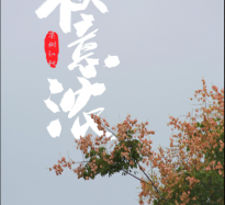 栾树知秋​——驻马店街头的秋日盛景