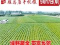9月17日早报