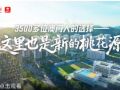 3500多位澳门人的选择——“这里也是新的桃花源”