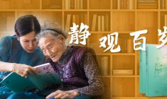 静观百岁