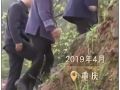 天天学习｜籽籽同心
