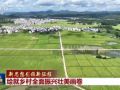 新思想引领新征程丨绘就乡村全面振兴壮美画卷