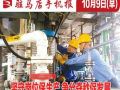 10月9日早报