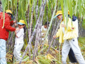 田园课堂 点亮秋日童心
