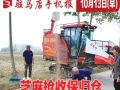 10月13日早报