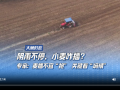 阴雨不停，小麦咋播？专家：麦播不宜“抢” 关键看“墒情”