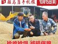 10月15日早報