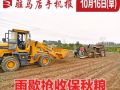 10月16日早报