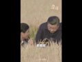 習語｜“始終繃緊糧食安全這根弦”