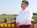 时习之｜粮食安全：习近平心中的头等大事