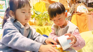 节粮入童心 光盘伴我行