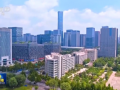 中国经济展现韧性 持续推动世界经济前行——国际人士高度关注四中全会