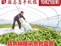 10月21日早報(bào)