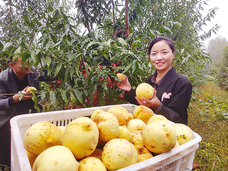 爱心助农 减损增收