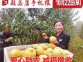 10月22日早报