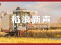 经纬线·稻浪新声