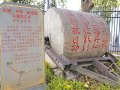 80年前，侵略者在這里被趕出國門——追尋滇西德宏的抗戰(zhàn)記憶
