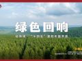经纬线·绿色回响
