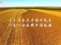 总书记的关切·落地的回响 | 保护黑土地 大国粮仓更稳固