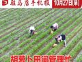 10月27日早报