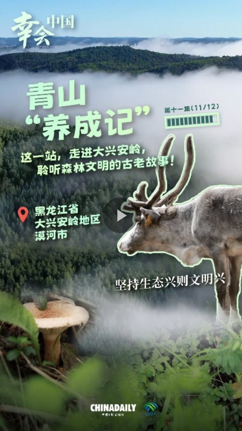 360截圖20251028114326234