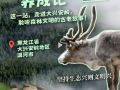 幸会中国 | 走进大兴安岭，见证生态兴文明兴的力量