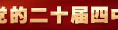 学习贯彻党的二十届四中全会精神