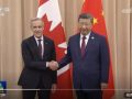 习近平会见加拿大总理卡尼