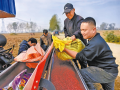 晴好天气抢农时 秋粮播种加速度