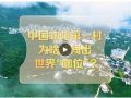 改革者 正青春｜中國咖啡第一村為啥能闖出世界“咖位”？