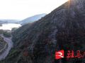 层林尽染！口门水库山间红叶进入最佳观赏期