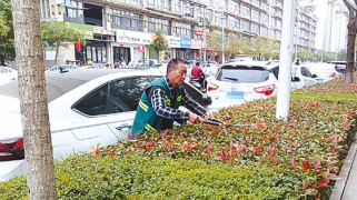 驻马店市园林绿化中心积极开展秋季绿化养护工作