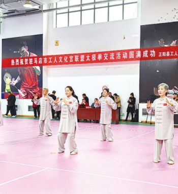 以拳为媒 以武会友