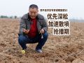 西平县农技专家谢耀丽建议：优先深松 加速散墒抢播期