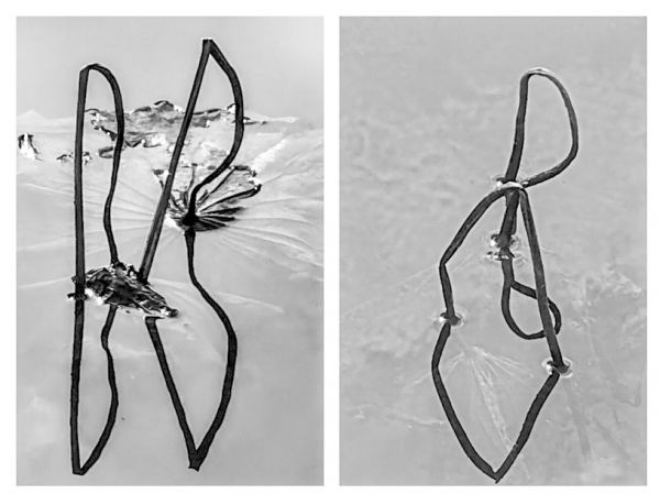 微信图片_20251118093026_271_5