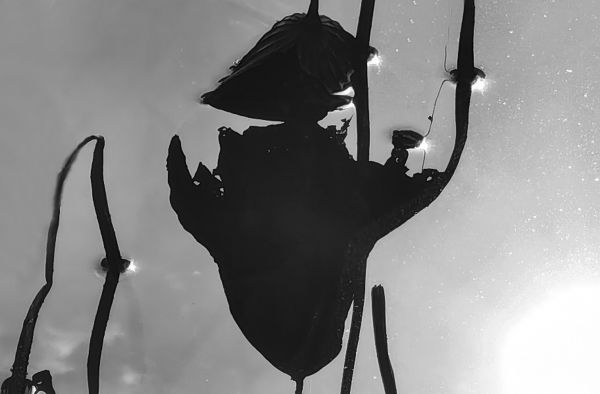 微信图片_20251118093026_272_5