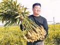 家庭農場種出“金疙瘩”