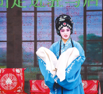 56場大戲火爆駐馬店 鄉親們直呼“過癮”