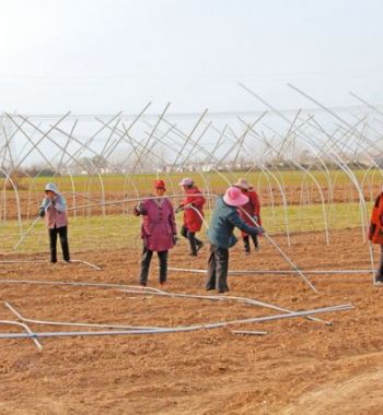 钢架大棚建设忙 增收致富有保障