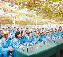 走進(jìn)田間課堂 感受智慧農(nóng)業(yè)