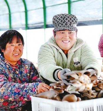 朵朵小菌菇 撐開致富傘