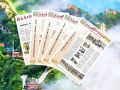 今日聚焦：汝南闪耀《驻马店日报》！
