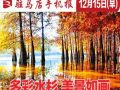 12月15日早报