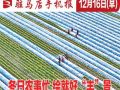 12月16日早报